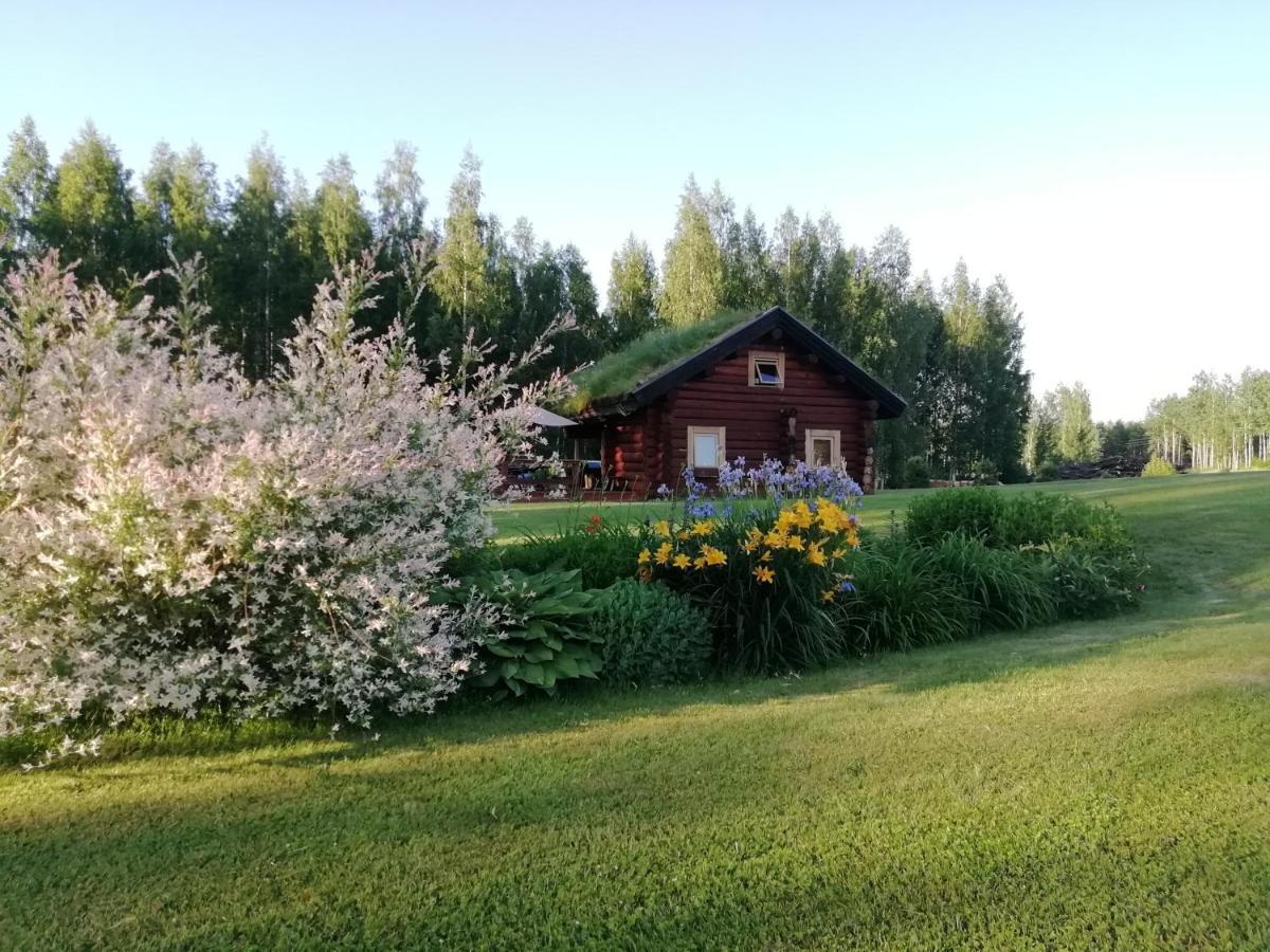 Вилла Paeikseranna Holiday Centre Nedsaja Экстерьер фото